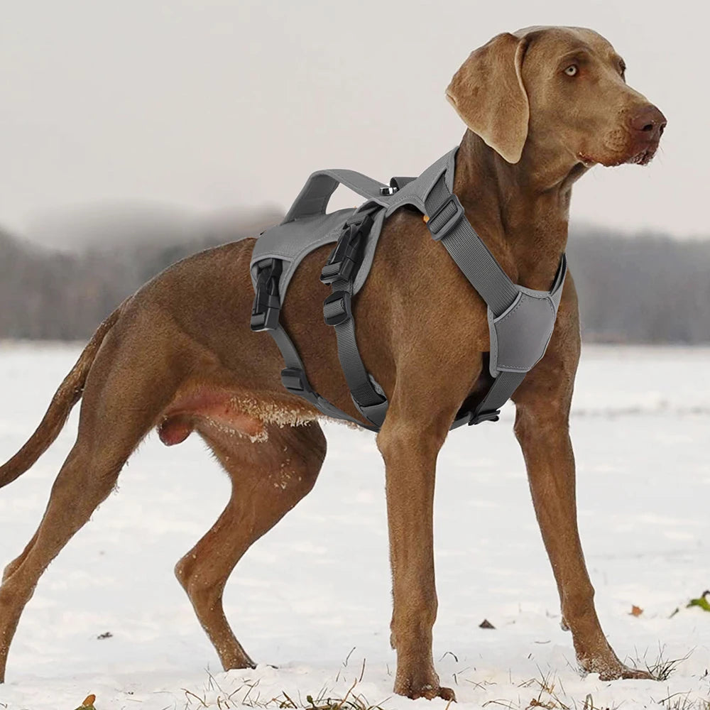 No Pull Small Medium Large Big Dog Harness Vest Nylon Adjustable Reflective Waterproof Pet Walking Training Harness With Handle 