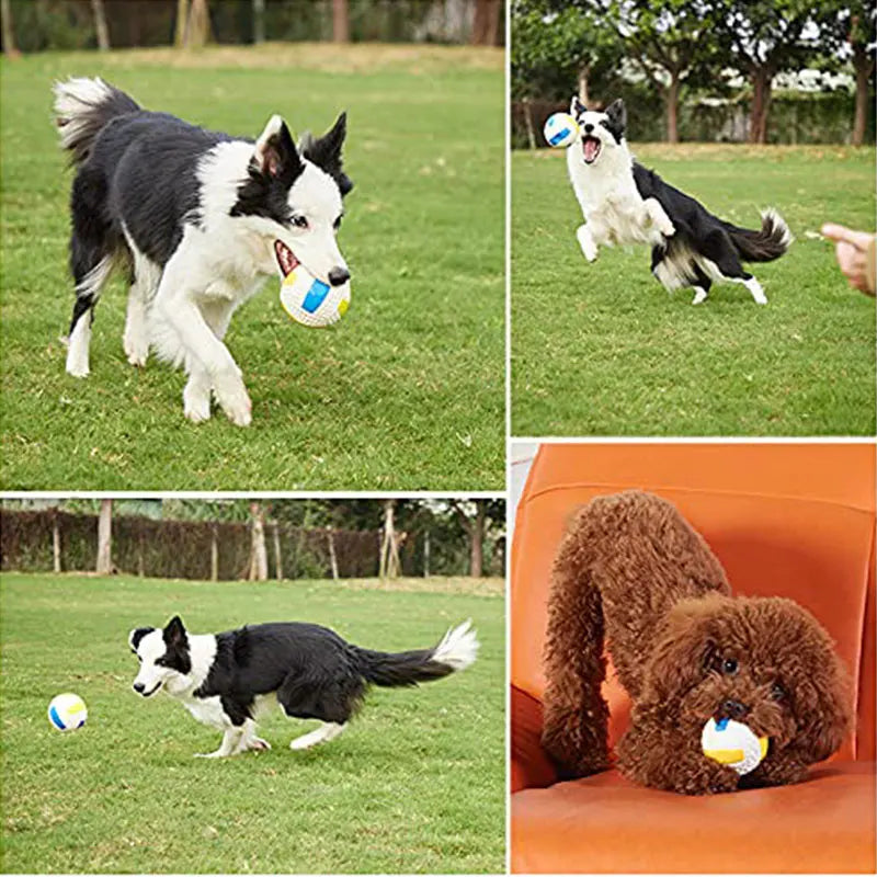 Pet Dog toy ball latex Durable Prevent damage Dog chew toy Squeak Chase Interesting Puppy toy Improve IQ Pet supplies 